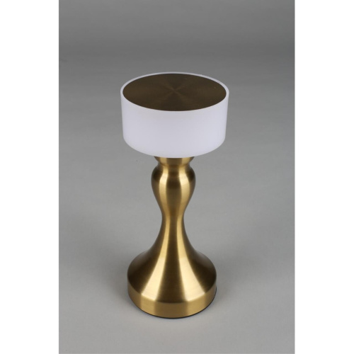 Настольная лампа OML-40304-01 фото 3 Настольная лампа OML-40304-01 фото 3