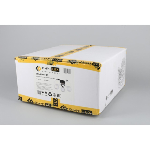 Люстра потолочная OML-25407-05 фото 2