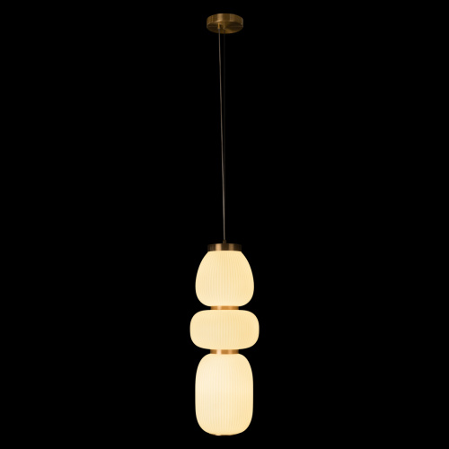 10422/C Подвесной светильник LOFT IT Duff фото 3