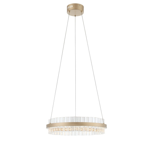 SL383.203.01 Светильник подвесной ST-Luce Золотистый/Золотистый, Прозрачный LED 1*34W 3000K CHERIO фото 4