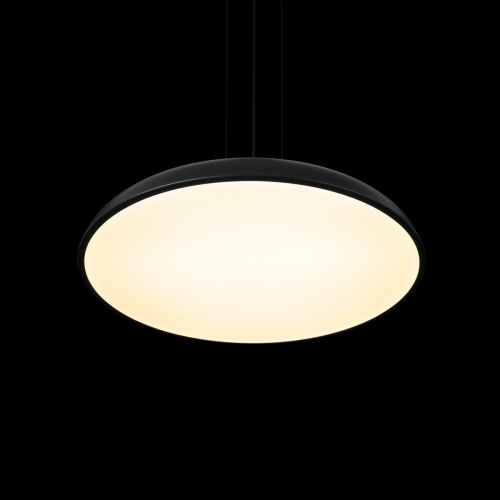 10371P Black Подвесной светильник LOFT IT Dime фото 5 10371P Black Подвесной светильник LOFT IT Dime фото 5