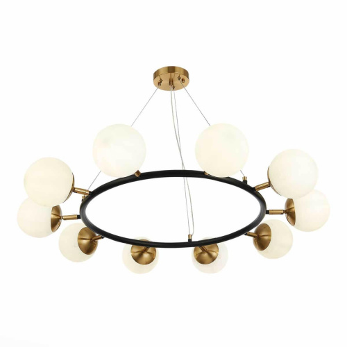 Подвесная люстра Evoluce FORLI SLE220403-10 фото 3