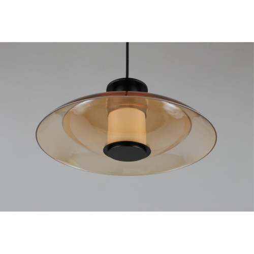 Светильник подвесной APL.648.16.10 фото 14