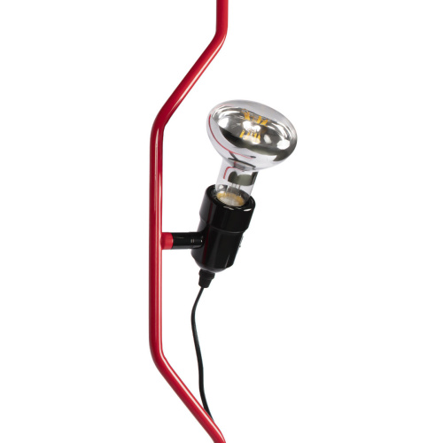 10346/2 Red Подвесной светильник LOFT IT Parentesi фото 5