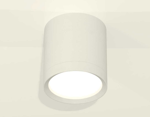 Комплект накладного светильника Ambrella light Techno Spot XS (C8141, N8112) XS8141001 фото 3