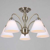 Потолочная люстра Reluce 52787-0.3-05