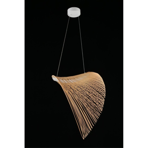 Люстра подвесная APL.655.03.21 фото 10