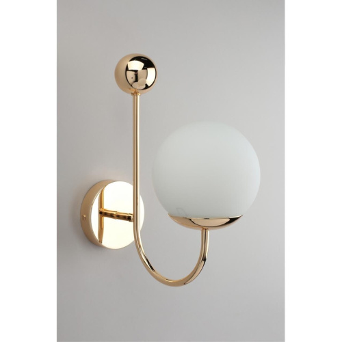 Светильник настенный (Бра) OML-67001-01 фото 2