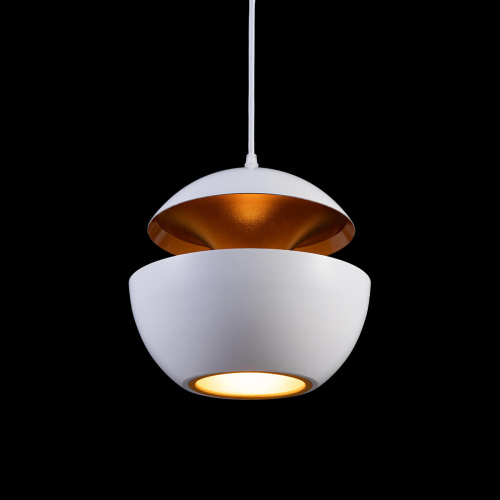 LOFT2213-A Подвесной светильник LOFT IT Apple фото 2