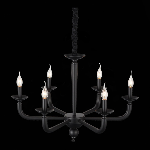 SL1114.403.06 Люстра подвесная ST-Luce Черный E14 6*40W FORTEZA фото 2