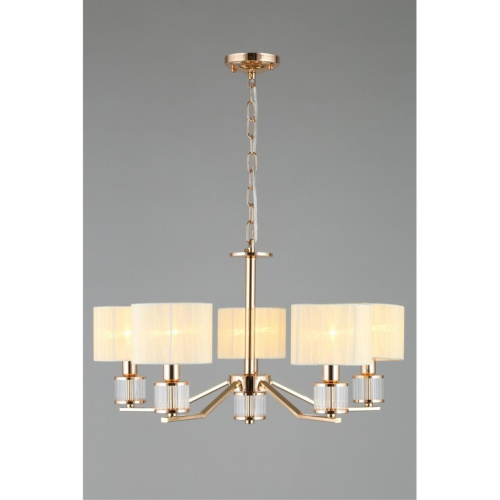 Люстра подвесная OML-66413-05 фото 4