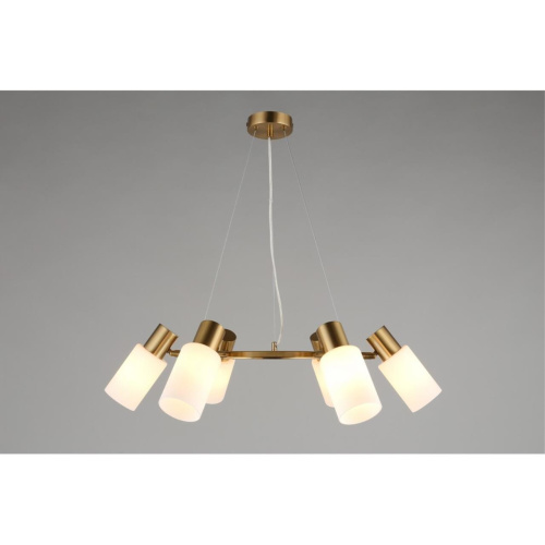 Люстра подвесная OML-69103-06 фото 9