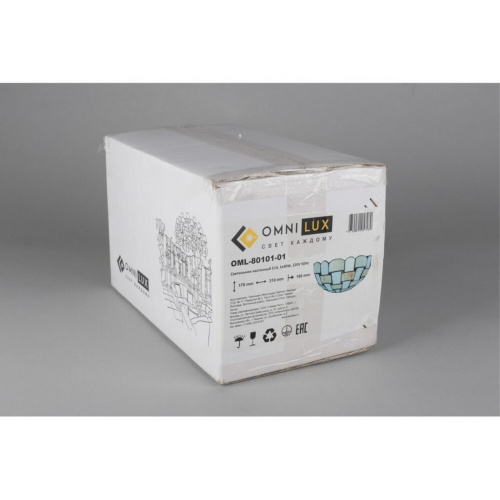 Светильник настенный (Бра) OML-80101-01 фото 5