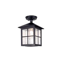 Подвесной фонарь Elstead Exterior, Арт. BL18A-BLACK