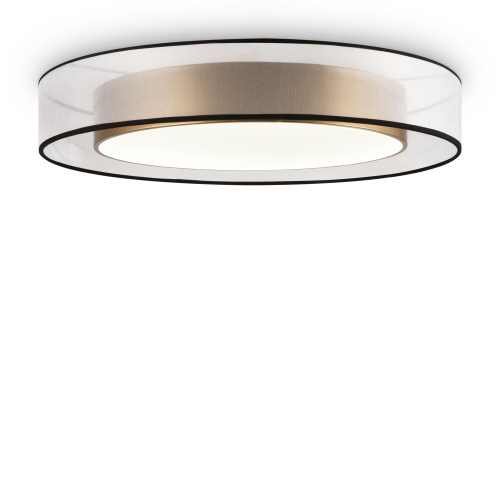 Потолочный светильник Freya FR6005CL-L48G фото 3