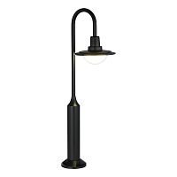 SL9512.405.01 Светильник уличный напольный ST-Luce черный/Прозрачный LED 1*10W 4000K PROCHE